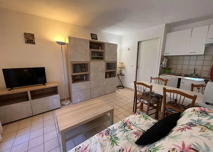 Studio Saint-Aygulf, 1 pièce, 4 personnes - FR-1-226A-89